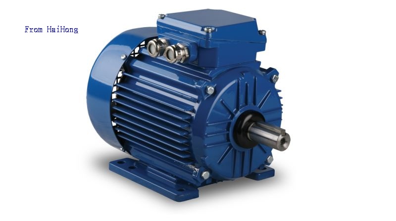 electric motor