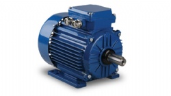 electric motor
